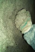 02 IM004264.jpg